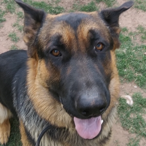 Duke01
