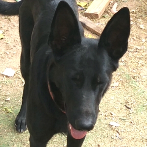 Mikko01