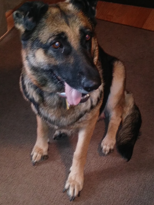 Sachi-9yrs