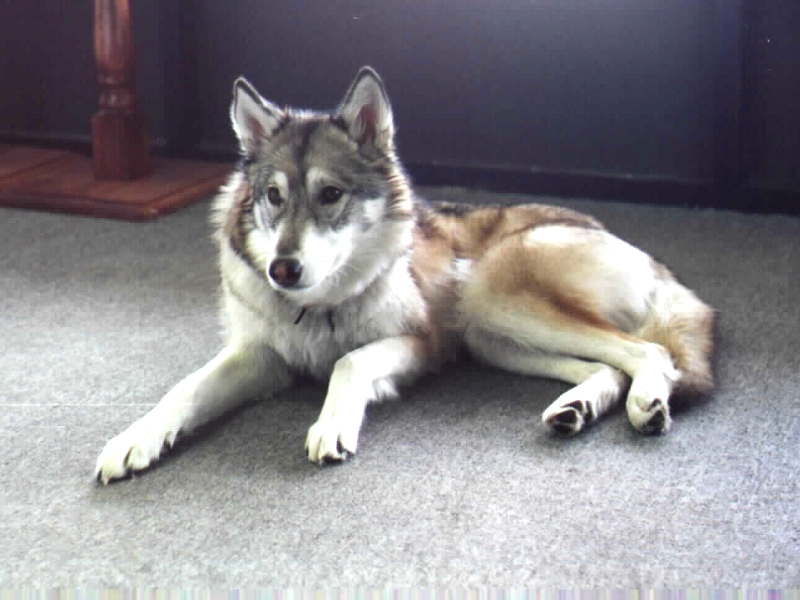 Sasha06