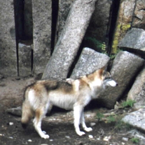 Sasha07