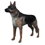 Dog_lg