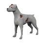 Dog_sm